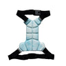 Physical Cooling Phase Change Ice Pad For Dogs